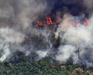 Amazon Rainforest fires