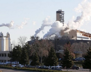 Catawba pulp and paper mill