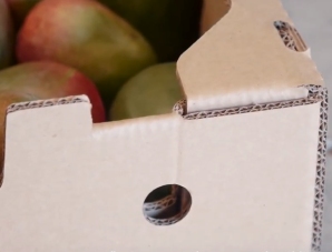 corrugated shipping box for mangos