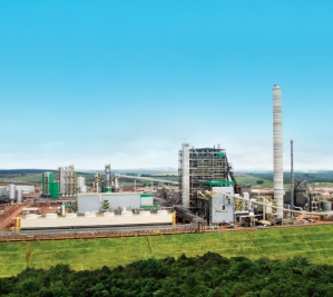 Klabin Puma pulp mill