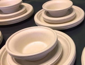 Molded Fiber plates and bowls