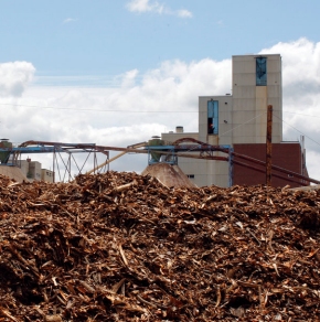 biomass - pulp mill