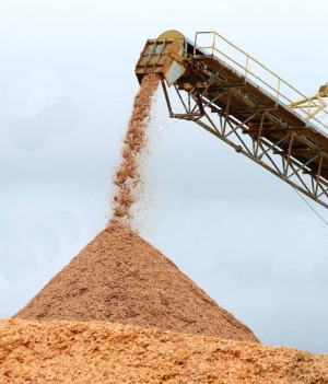 Wood Chip Processing