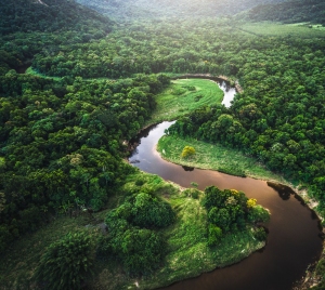 Amazon rainforest