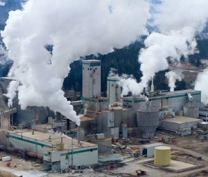 Cariboo pulp mill