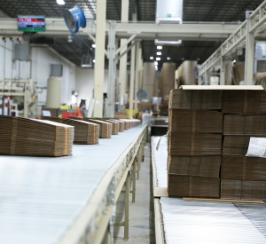 Corrugated Packaging Industry