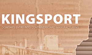 Domtar Kingsport Mill - Containerboard
