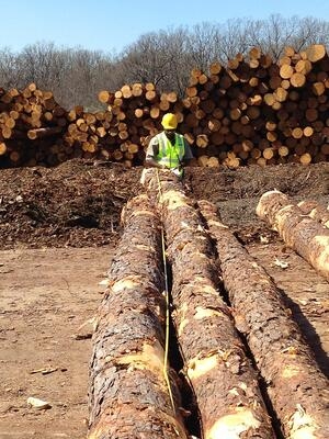 measuring logs