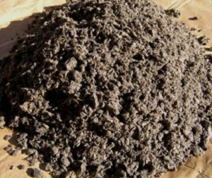 pulp mill sludge