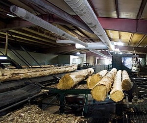 sawmill