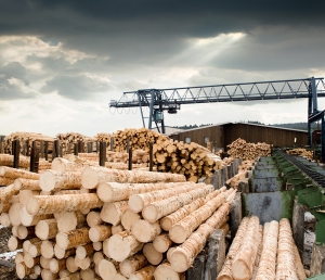 wood processing