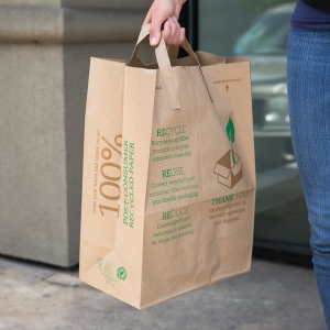 Recyclable paper shopping bag