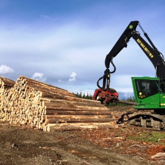 Saskatchewan timber