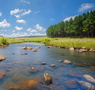 South Africa forests and water