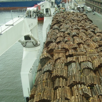 cargo ship with logs