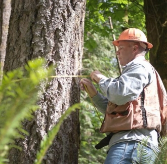 working forests