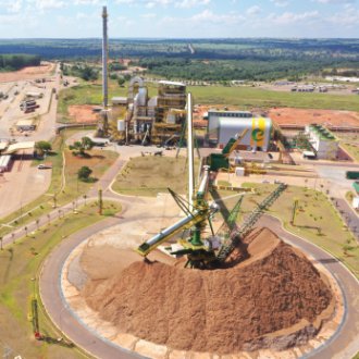 Biomass Handling Plant at Eldorado