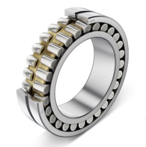 NSK TL spherical roller bearings