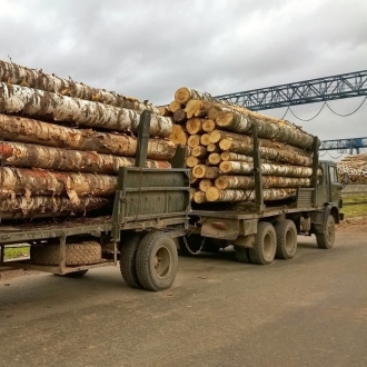 Russian transport of timber