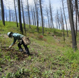 USDA Forest Service