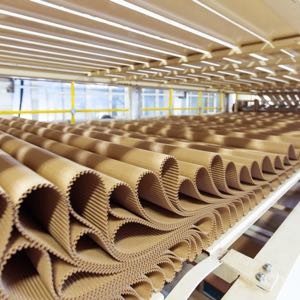 Georgia-Pacific corrugated