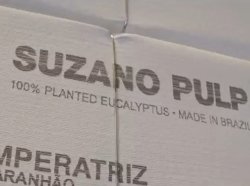 Suzano eucalyptus pulp