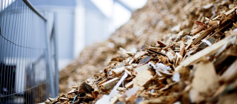 biomass for pulping