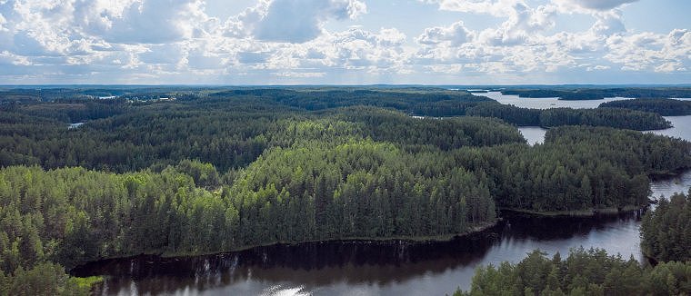 UPM forestry water protection