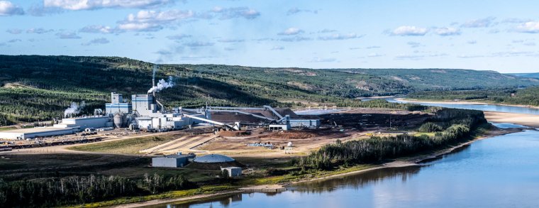 Mercer Peace River Pulp