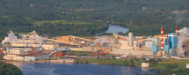 Thunder Bay Pulp and Paper