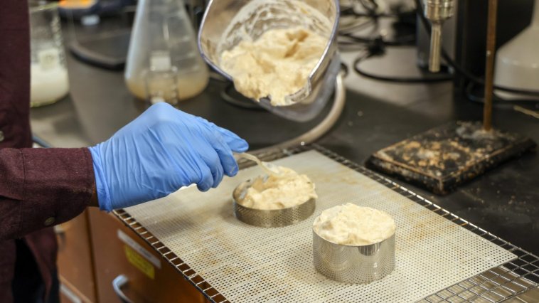 UMaine wood fiber foam insulation
