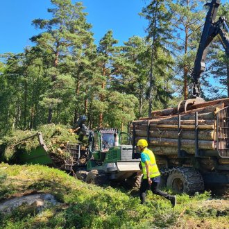 Biomass, Sweden